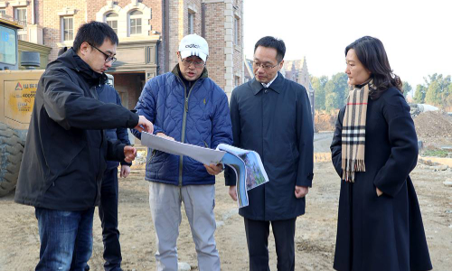 【要闻】市委书记陈阳波到麓棠镇开展专题调研