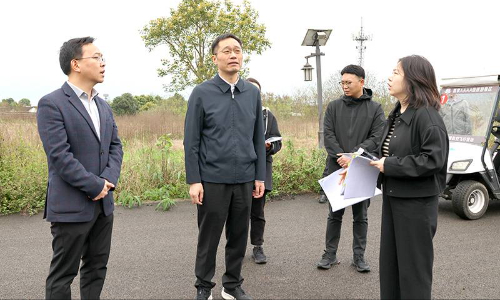 陈阳波到九龙镇开展专题调研