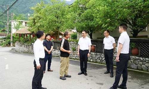 陈阳波到清平镇开展专题调研