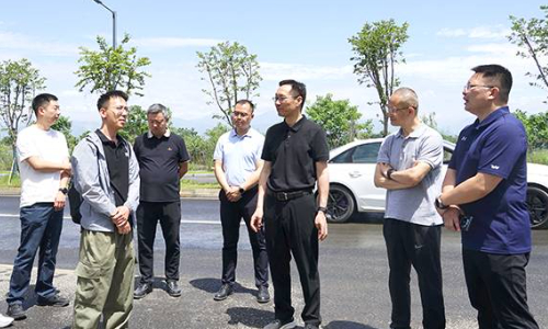 陈阳波调研我市在建重点产业项目和交通项目情况
