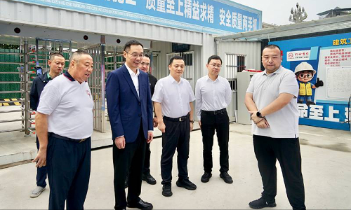 陈阳波潘鹏调研我市重大项目建设情况并督导节前安...