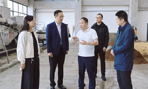 陈阳波到我市部分酒企调研生产经营情况